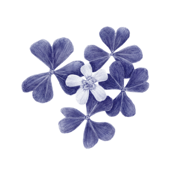 concours_bloem_grijs_crop.png