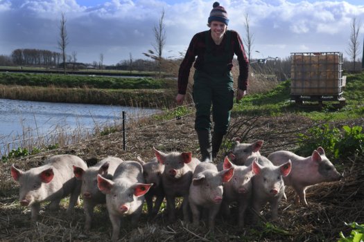 CC PIGME.jpg